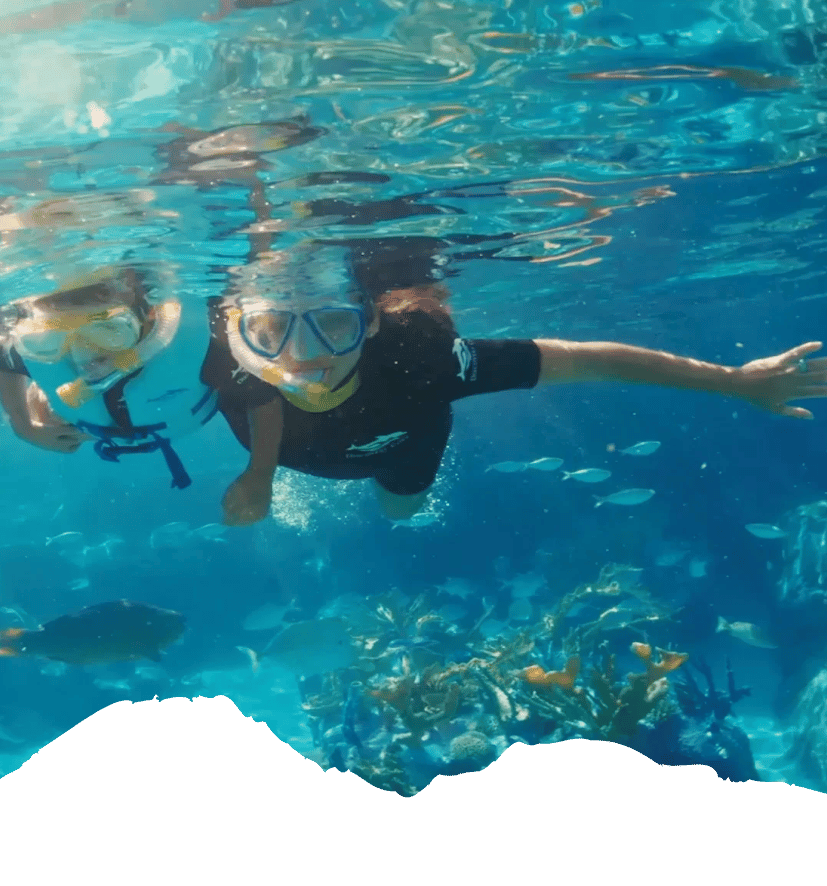 Zwei Schnorchler erkunden im Discovery Cove Orlando ein tropisches Korallenriff mit bunten Fischen unter Wasser.