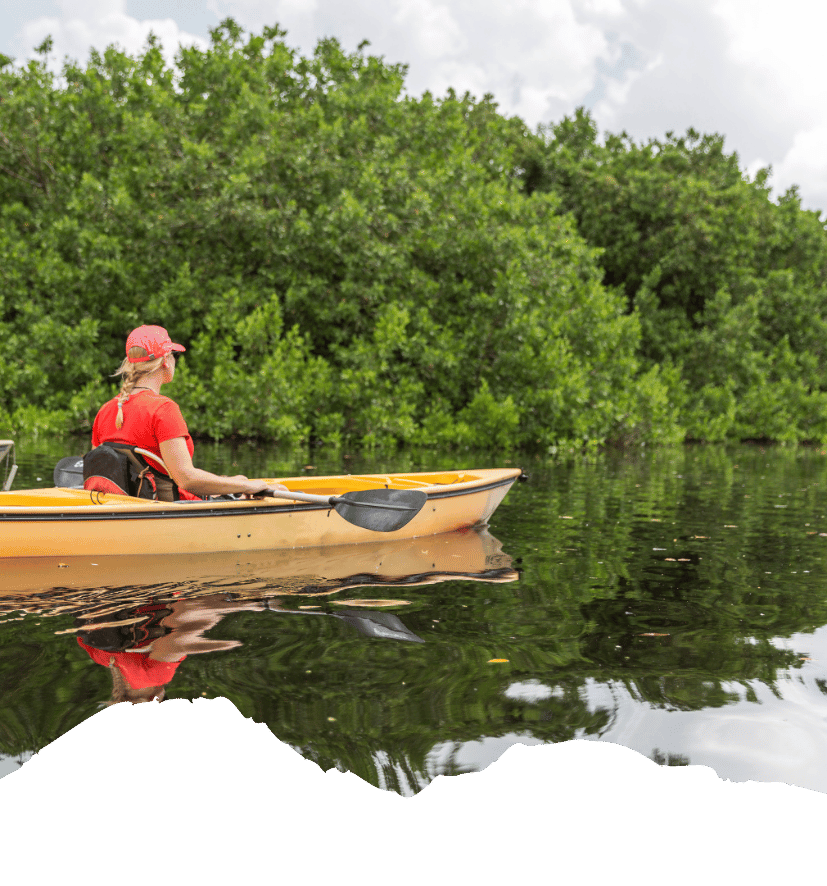 Eine Kajakfahrerin paddelt durch ruhiges Wasser zwischen dichtem Grün und Mangroven in den Everglades von Florida.
