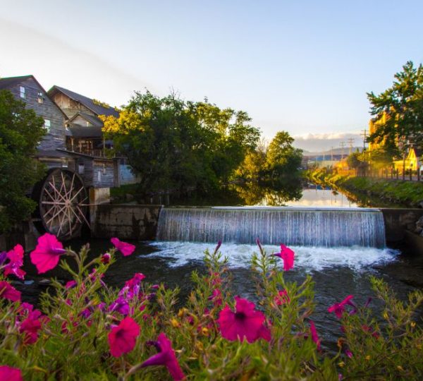 Blühende pinke Blumen rahmen ein historisches Wasserrad und einen kleinen Wasserfall in Pigeon Forge, Tennessee, ein.