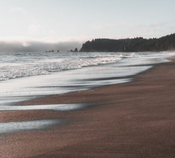 Brandung trifft auf den dunklen Sandstrand von Rialto Beach an der windoffenen Pazifikküste der Olympic Peninsula.