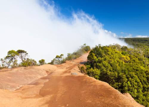 Ein roter Felsgrat führt am Kalalau Lookout auf Kauai durch grüne Vegetation und dichten Nebel über dem Tal.