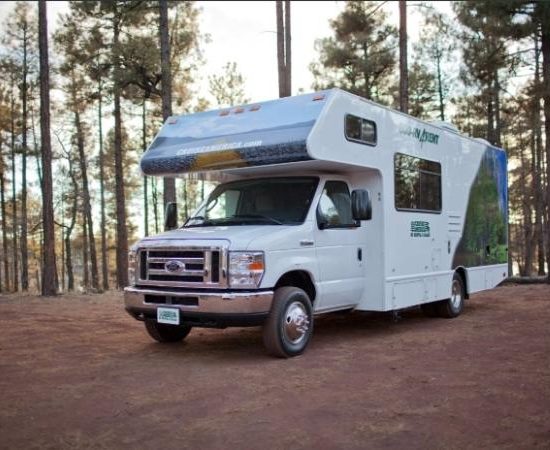 Ein weißes Cruise-America-Wohnmobil mit Alkoven steht auf einem Waldweg zwischen hohen Kiefern.