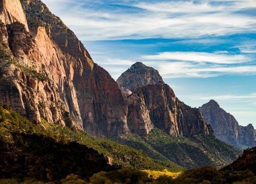 Rote Felswände und bewaldete Hänge prägen den tiefen Canyon des Zion National Park in Utah unter blauem Himmel.