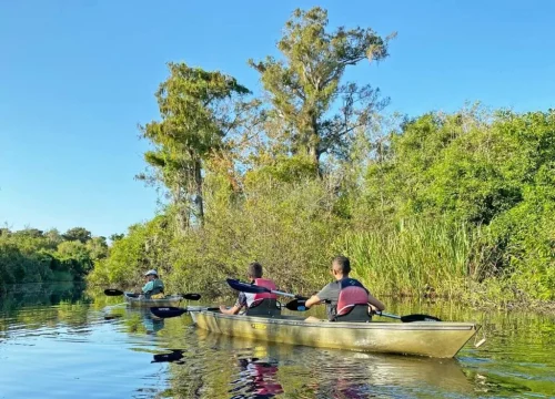 Drei Personen paddeln mit Kajaks durch ruhige Wasserwege im Big Cypress National Preserve in Florida.