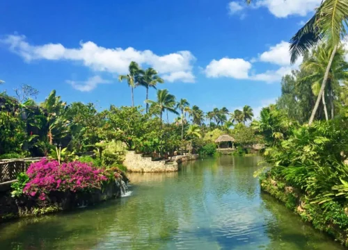 Eine tropische Wasseranlage mit Palmen, blühenden Sträuchern und kleinen Wasserfällen im Polynesian Cultural Center auf Oahu.