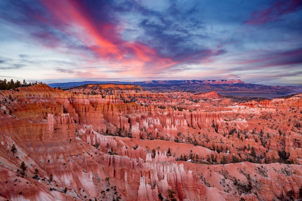 Rote und orange Hoodoos im Bryce Canyon National Park in Utah unter einem dramatisch pink-blau gefärbten Abendhimmel