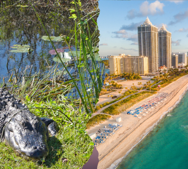 Florida geführt erleben: 8 Tage Gruppenreise von Miami bis Key West