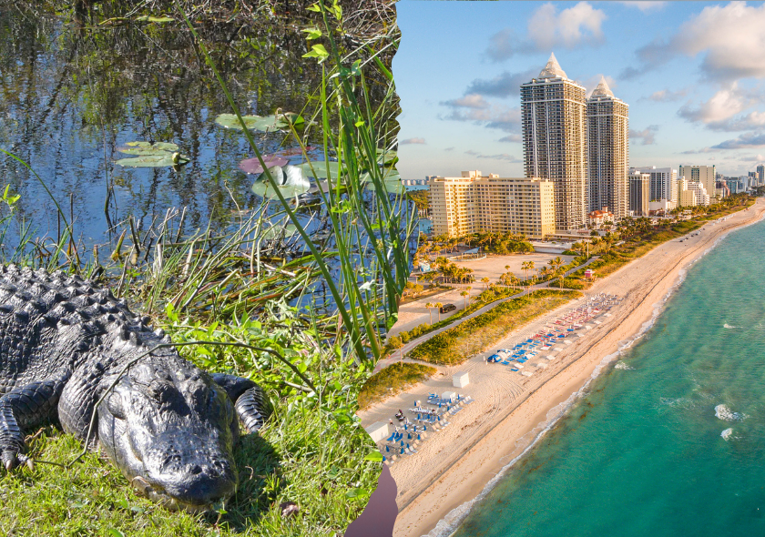 Florida geführt erleben: 8 Tage Gruppenreise von Miami bis Key West
