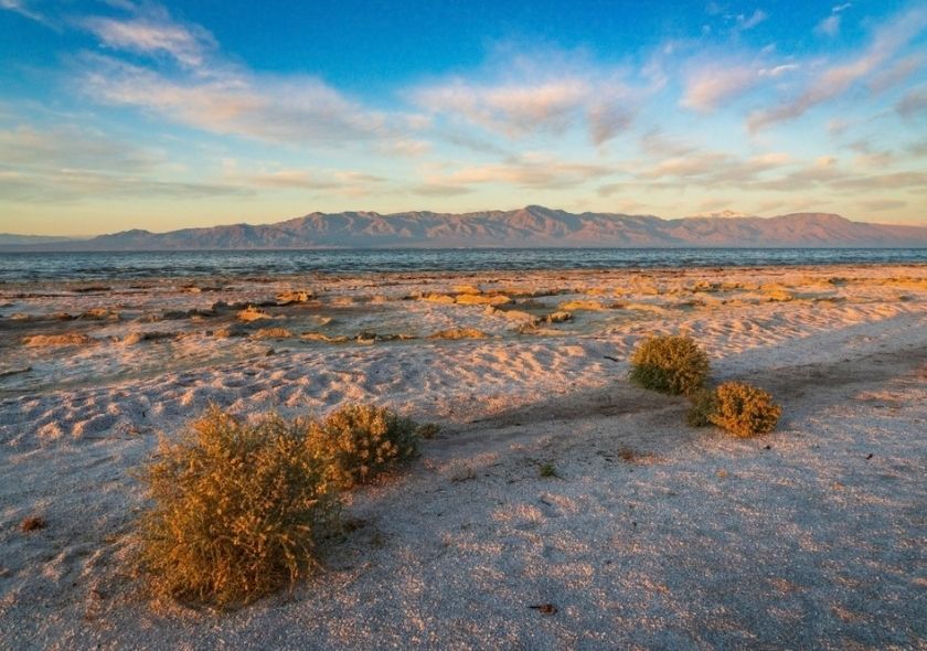 Salton Sea: Kaliforniens surrealer See zwischen Verfall und Kunst