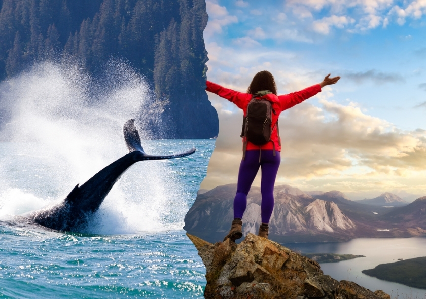 22 Tage Mietwagenrundreise Alaska und Yukon: Anchorage, Kenai-Halbinsel, Dawson City, Whitehorse & Co.