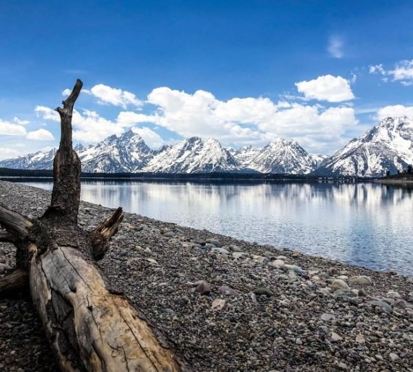Vom steinigen Ufer blickt man über den Jackson Lake auf die schneebedeckten Gipfel der Teton Range in Wyoming.