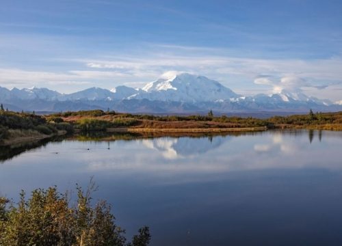 Denali Nationalpark Reisetipps: Wandern, Wildlife und der höchste Berg Nordamerikas
