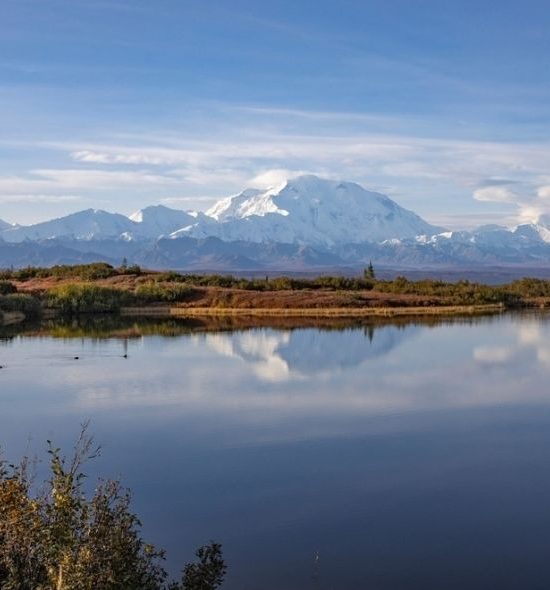 Denali Nationalpark Reisetipps: Wandern, Wildlife und der höchste Berg Nordamerikas