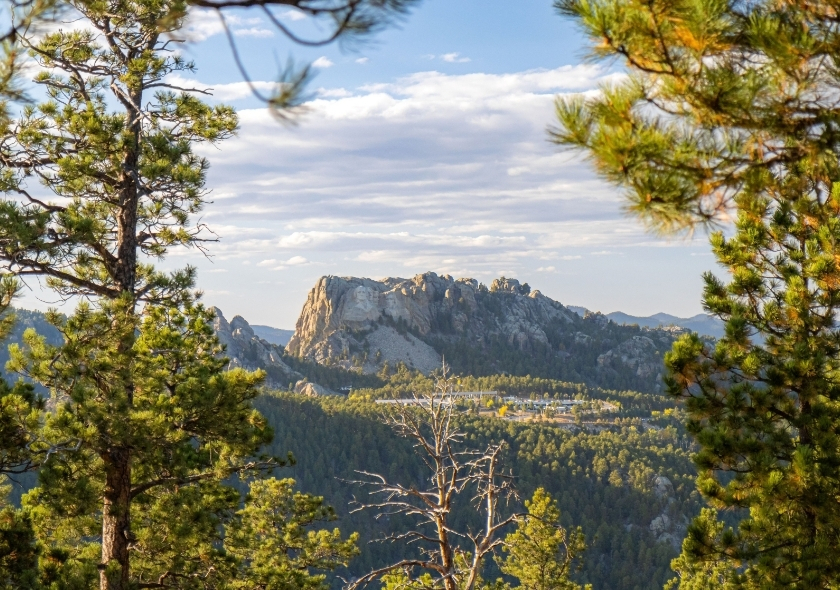 Mount Rushmore von weit entfernt.