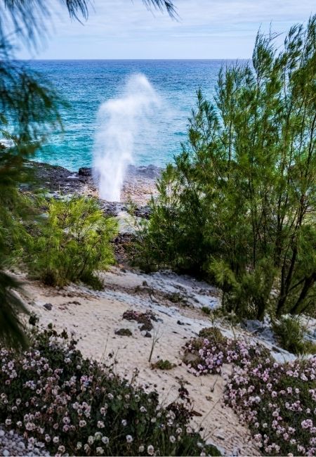 Spouting Horn