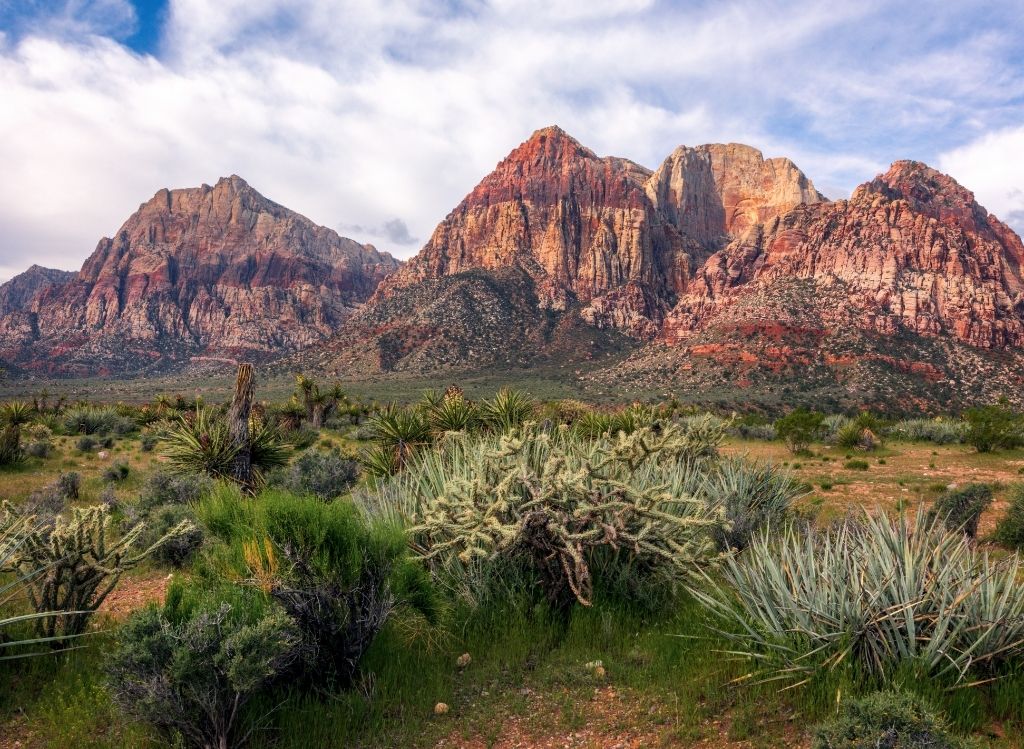 Las Vegas x Condor LP-21 Vegas, Baby! 7 Tage mit 1000 Möglichkeiten voller Glanz und Glamour inkl. Flug