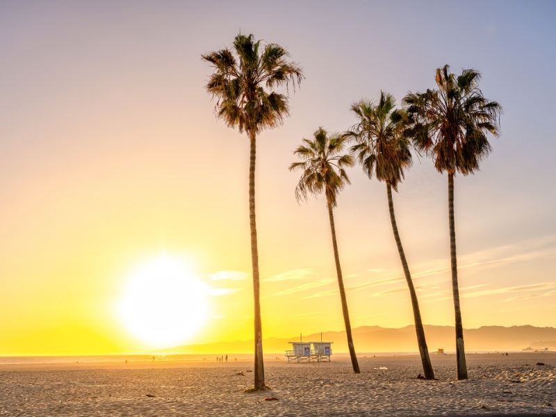 Los Angeles Reiseführer: 4 perfekte Tage