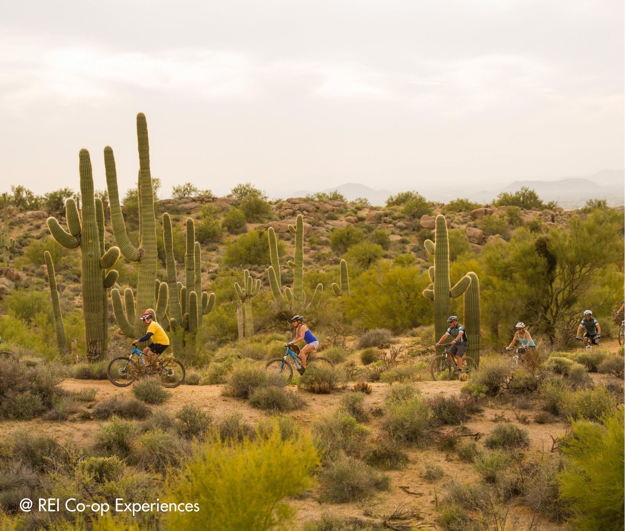 Suedwesten-Rundreise-Scottsdale-Outdoor-Natur-Highlights (6) 15-tägige Südwesten Rundreise mit Scottsdale als Highlight
