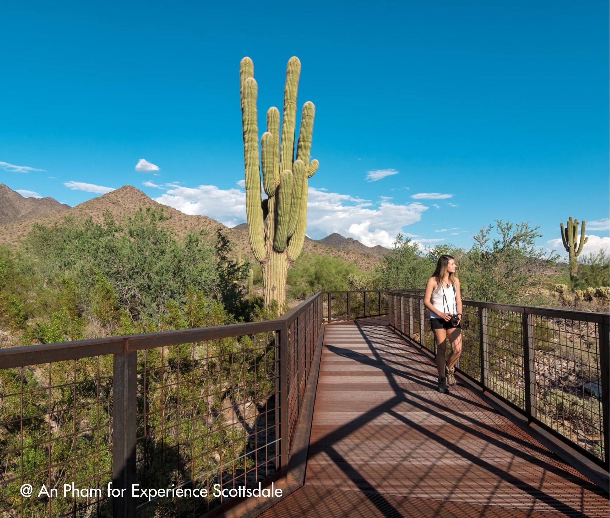 Suedwesten-Rundreise-Scottsdale-Outdoor-Natur-Highlights-update (13) 15-tägige Südwesten Rundreise mit Scottsdale als Highlight