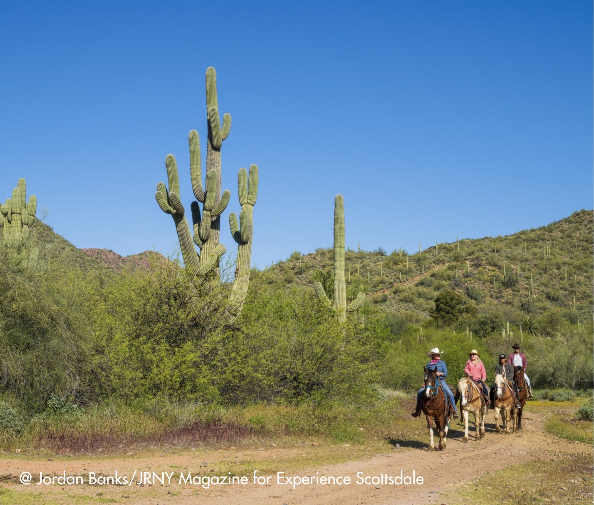 Suedwesten-Rundreise-Scottsdale-Outdoor-Natur-Highlights-update (3) 15-tägige Südwesten Rundreise mit Scottsdale als Highlight