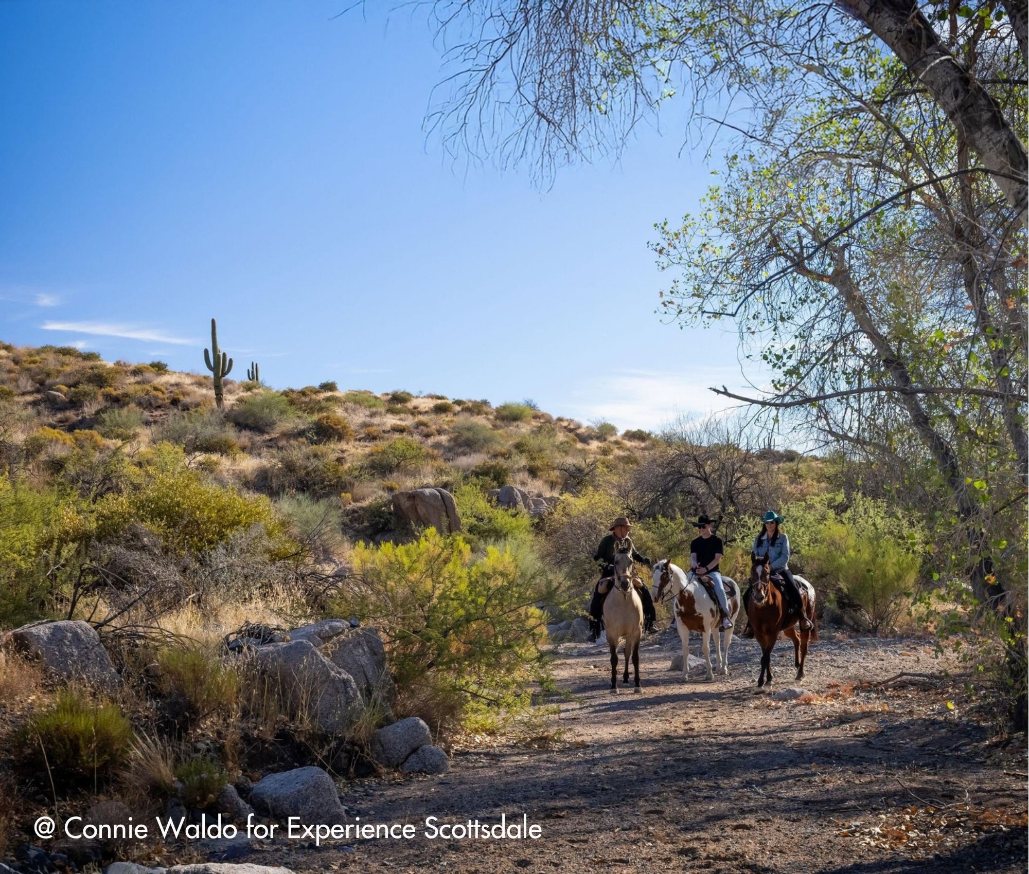 Suedwesten-Rundreise-Scottsdale-Outdoor-Natur-Highlights-update (5) 15-tägige Südwesten Rundreise mit Scottsdale als Highlight