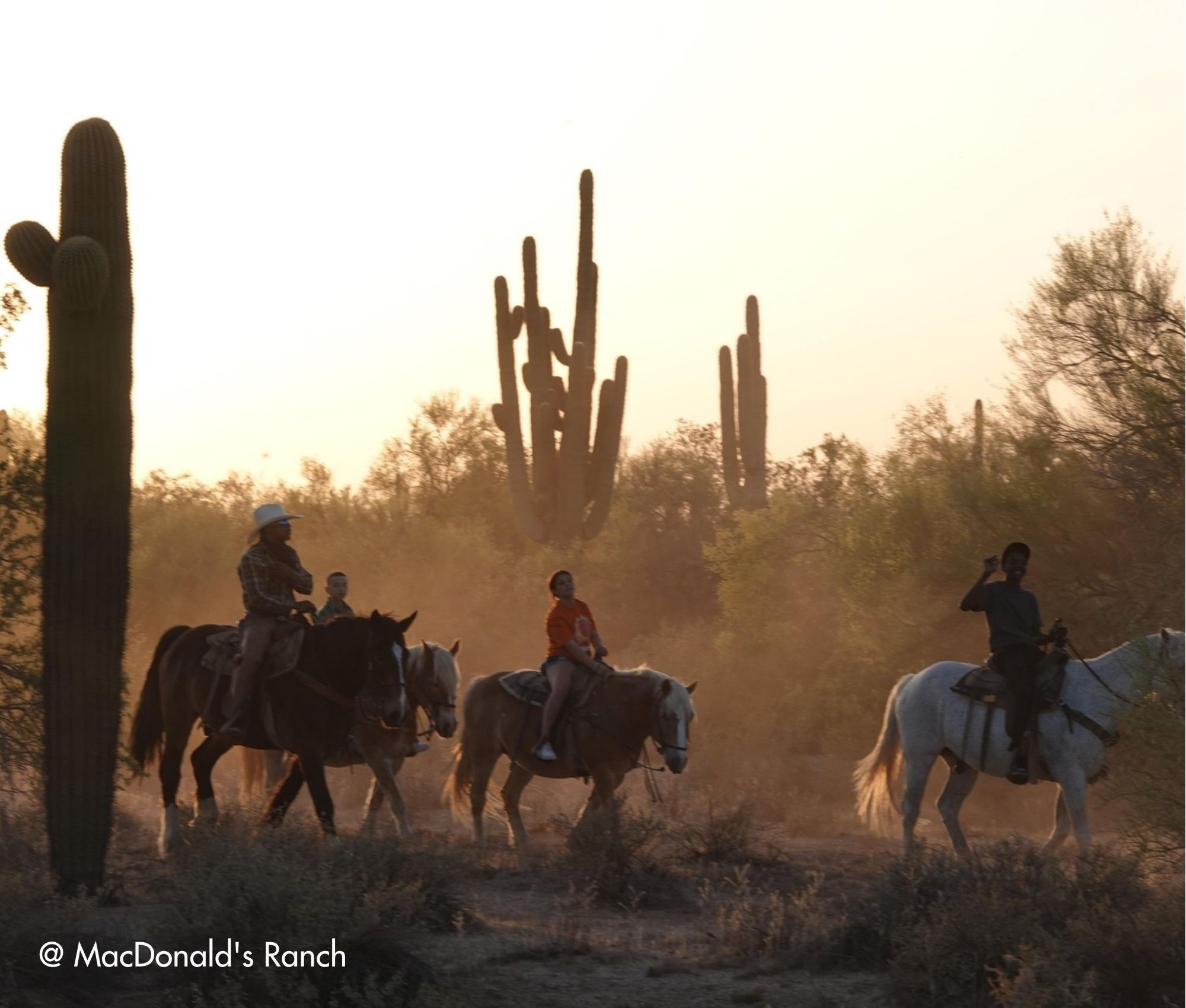 Suedwesten-Rundreise-Scottsdale-Outdoor-Natur-Highlights-update (7) 15-tägige Südwesten Rundreise mit Scottsdale als Highlight
