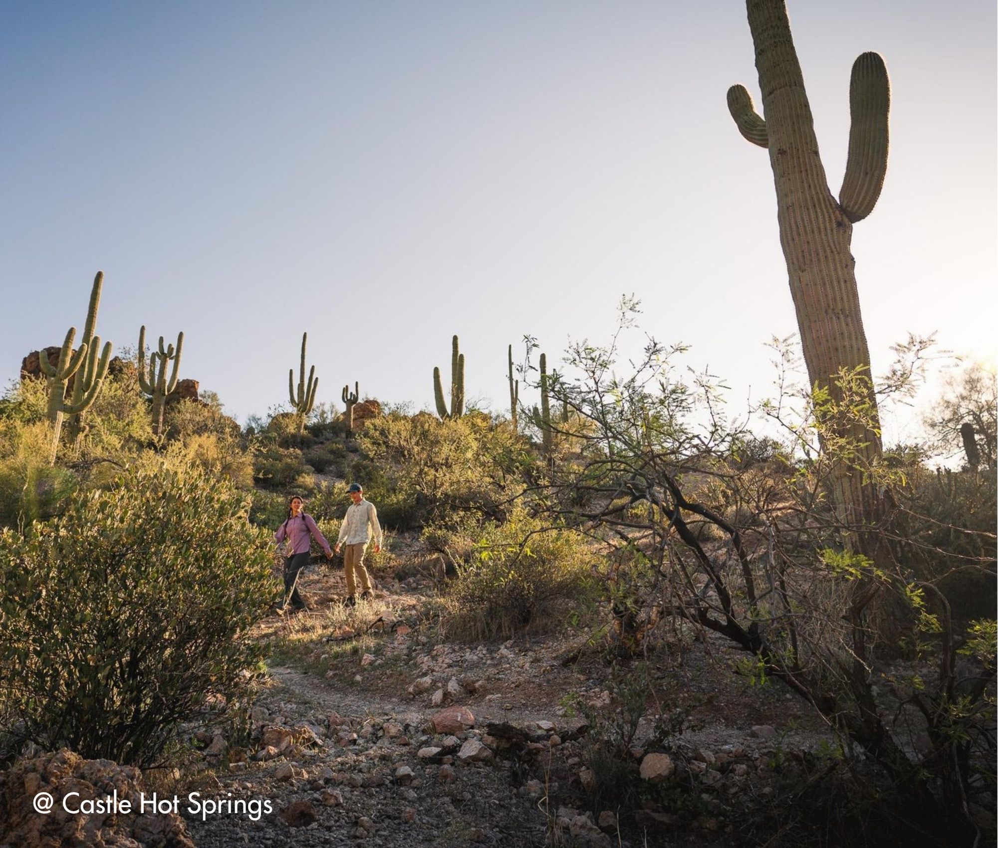 Suedwesten-Rundreise-Scottsdale-Outdoor-Natur-Highlights-update (8) 15-tägige Südwesten Rundreise mit Scottsdale als Highlight