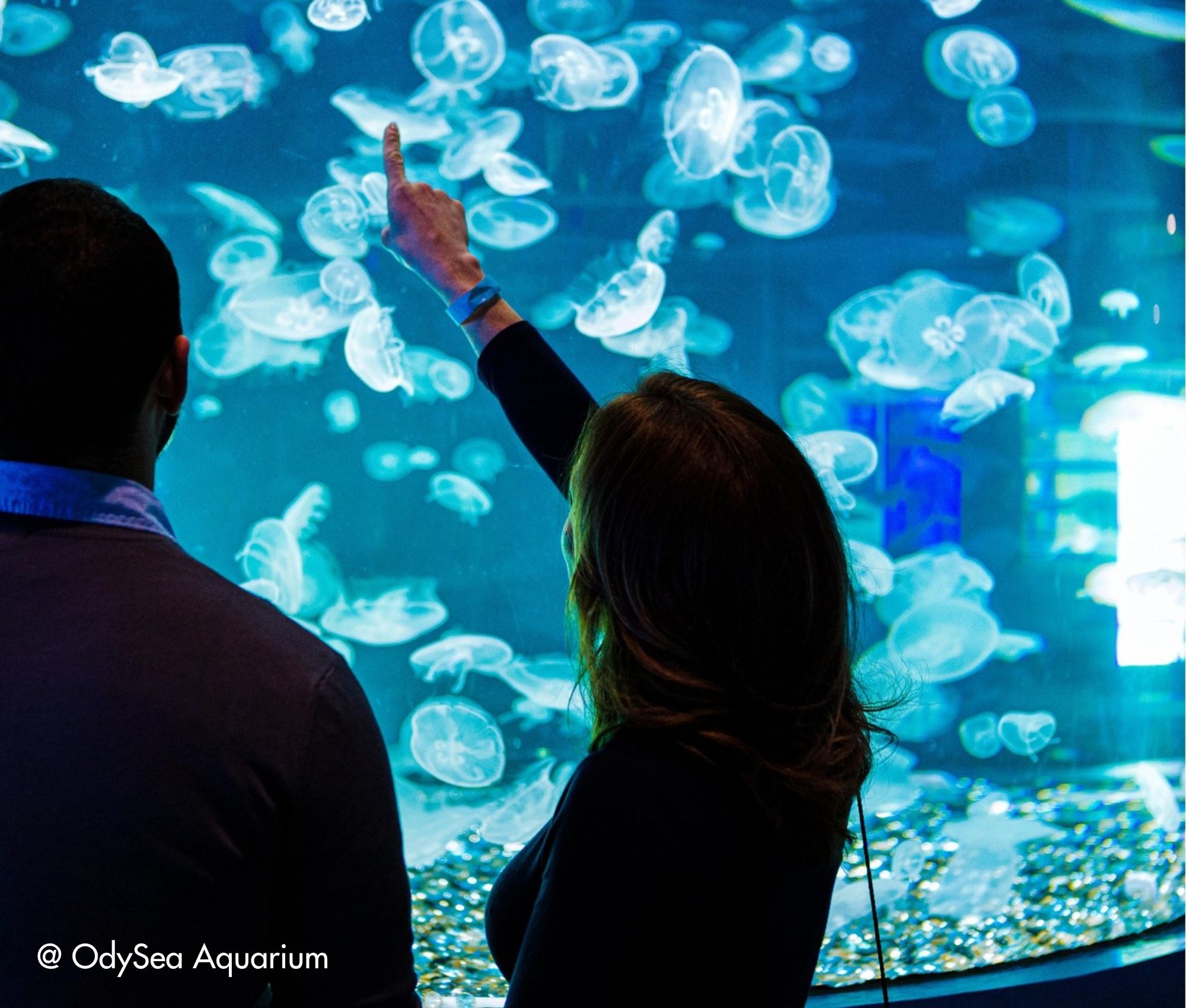 Suedwesten-Rundreise-Scottsdale-perfekter-tag (5) 15-tägige Südwesten Rundreise mit Scottsdale als Highlight