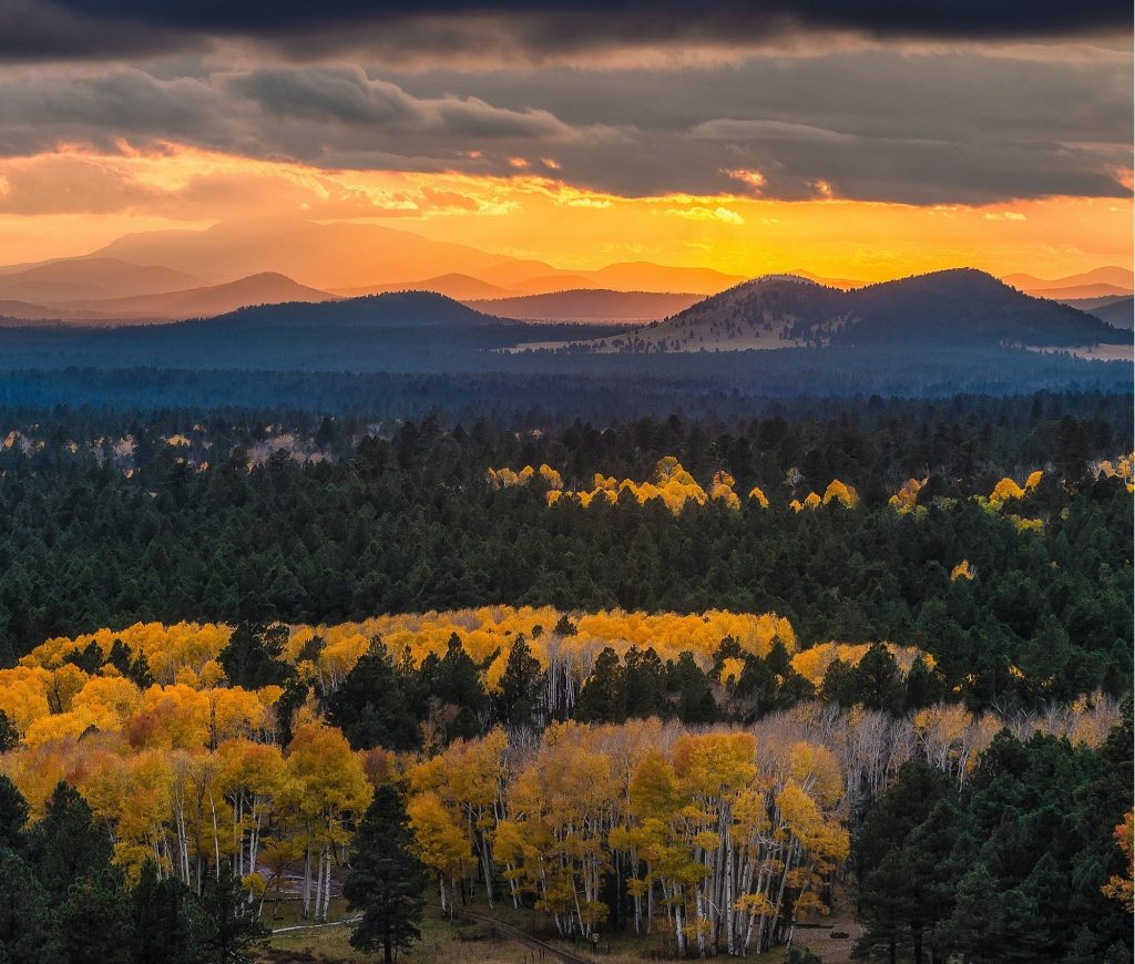 15-tägige Südwesten Rundreise mit Scottsdale als Highlight 15-tägige Südwesten Rundreise mit Scottsdale als Highlight