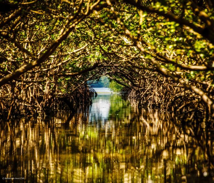 Sunshine Stories LP Bradenton Slideshow (7) 14-tägiger Florida Urlaub: Von Bradenton Gulf Islands bis nach Greater Fort Lauderdale