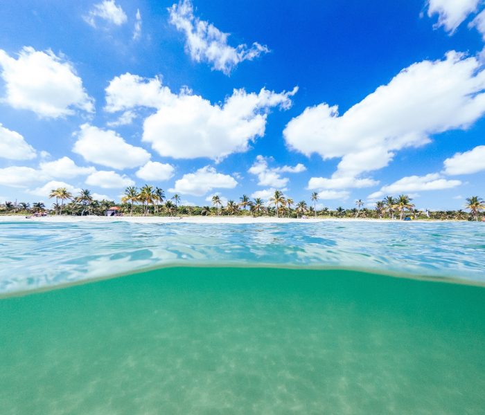 Sunshine Stories LP Lauderdale Slideshow 14-tägiger Florida Urlaub: Von Bradenton Gulf Islands bis nach Greater Fort Lauderdale