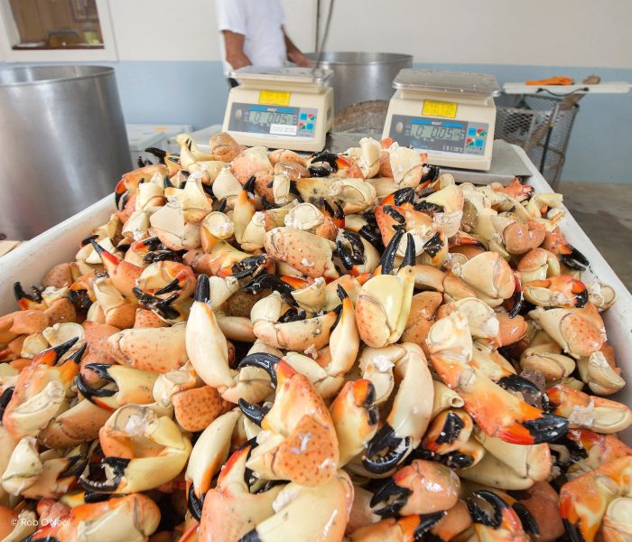 Sunshine Stories Slideshow Keys (14) 14-tägiger Florida Urlaub: Von Bradenton Gulf Islands bis nach Greater Fort Lauderdale