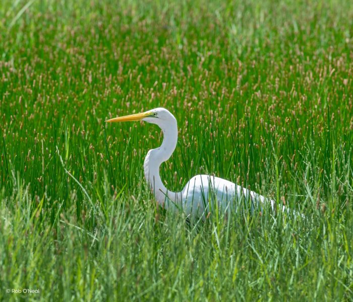 Sunshine Stories Slideshow Keys (4) 14-tägiger Florida Urlaub: Von Bradenton Gulf Islands bis nach Greater Fort Lauderdale