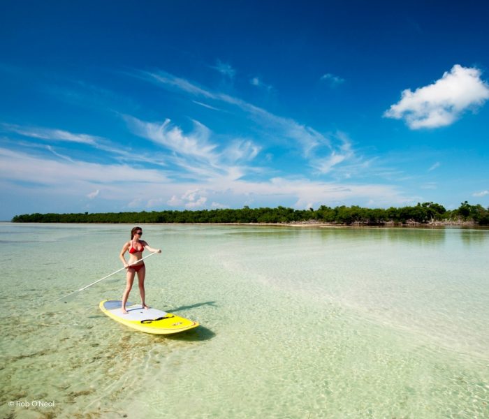 Sunshine Stories Slideshow Keys (7) 14-tägiger Florida Urlaub: Von Bradenton Gulf Islands bis nach Greater Fort Lauderdale