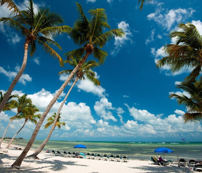 Sunshine Stories Slideshow Keys (8) 14-tägiger Florida Urlaub: Von Bradenton Gulf Islands bis nach Greater Fort Lauderdale