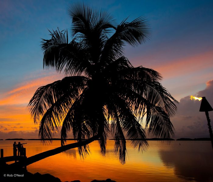 Sunshine Stories Slideshow Keys (9) 14-tägiger Florida Urlaub: Von Bradenton Gulf Islands bis nach Greater Fort Lauderdale