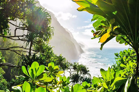 Küste im Hawaii Urlaub