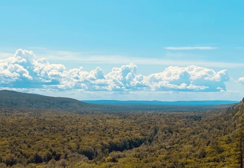 Pure Michigan Rundreise: 15 Tage Genuss, Natur und Entschleunigung