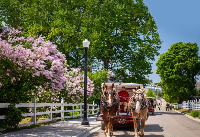 Pure Michigan Rundreise: 15 Tage Genuss, Natur und Entschleunigung