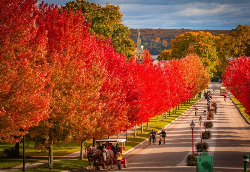 Pure Michigan Rundreise: 15 Tage Genuss, Natur und Entschleunigung